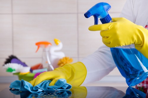 Mattress cleaning equipment used in a Wimbledon property