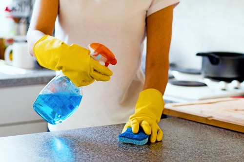 Professional deep cleaning checklist for Wimbledon customers