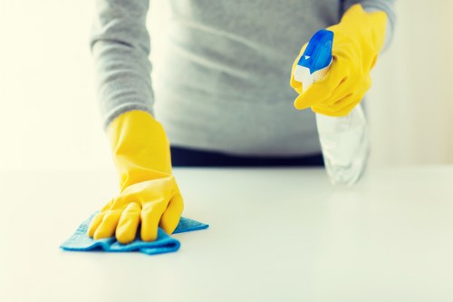 Local cleaning service working in a Wimbledon residence