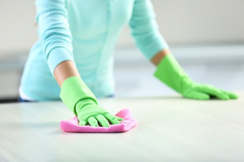 Cleaner checking equipment safety before use