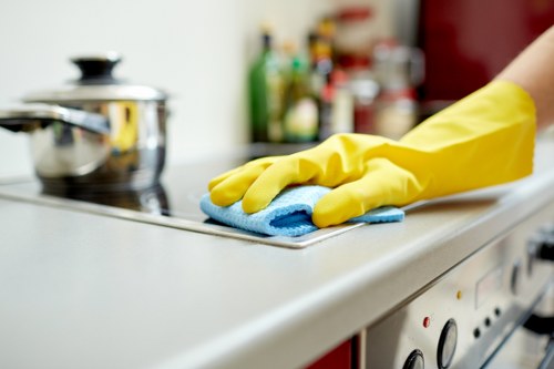 Upholstery cleaning equipment used for sofa care in Wimbledon