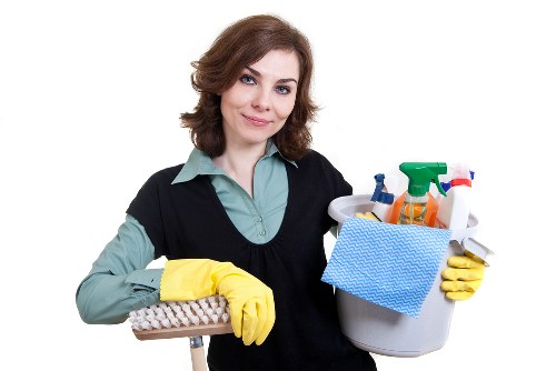 Deep cleaning equipment used for pet stain removal in a Wimbledon property