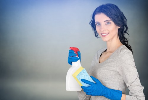 Exterior window cleaning service for a Wimbledon house